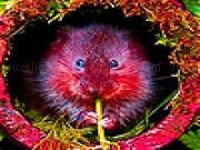 Jouer à Mouse in the stored puzzle
