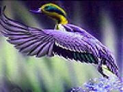 Jouer à Duck splash slide puzzle