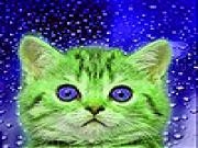 Jouer à Blue eyes cat slide puzzle