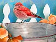 Jouer à Bird in the bucket slide puzzle