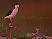 Jouer à Mother bird and her cub slide puzzle