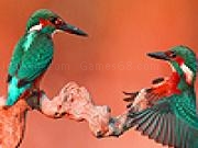 Jouer à Chatting birds in the desert  puzzle