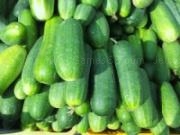 Jouer à Cucumber slider