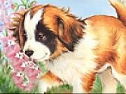 Jouer à Lost puppy slide puzzle