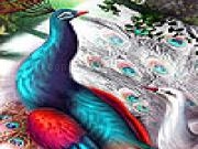 Jouer &agrave; Fantastic talkative birds slide puzzle