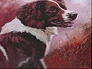 Jouer à Sad tired dog slide puzzle