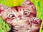 Jouer à Tiny alone cat slide puzzle