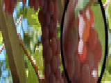 Jouer à Grapes garden hidden numbers