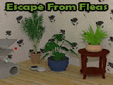 Jouer à Escape from fleas