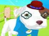 Jouer à Baby pitbull dressup