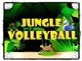 Jouer à Jungle volleyball