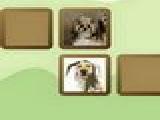 Jouer à Dog memory game