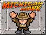 Jouer à Michigan hawk