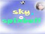 Jouer à Sky spinball