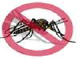 Jouer à Brasil contra a dengue