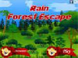Jouer à Rain forest escape