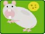 Jouer à Feed the mouse