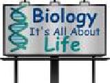 Jouer à Kuiz nga biologjia 6