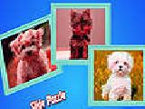 Jouer à Cute puppies in the garden puzzle