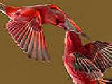 Jouer à Flying love birds puzzle
