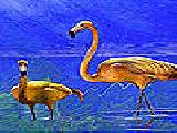 Jouer à The long legged flamingos puzzle