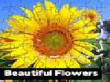Jouer à Beautiful flowers puzzle