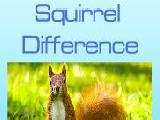 Jouer à Squirrel difference