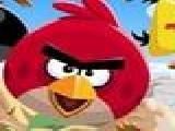 Jouer à Hungry angrybirds
