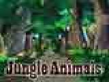 Jouer à Jungle animals
