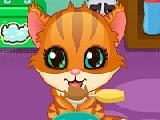 Jouer à Kitty care