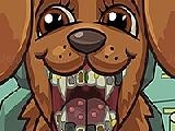 Jouer à Pet crazy dentist