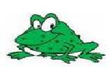 Jouer à Frog hunting