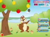 Jouer à Squirrel mania
