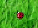 Jouer à Bug splatter