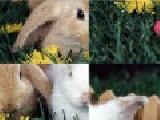 Jouer à Easter bunny puzzle