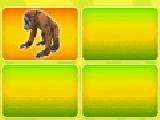 Jouer à Animal puzzle mania