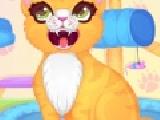 Jouer à Precious kitty dentist