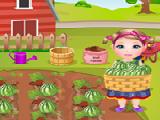 Jouer à Kim watermelon farming