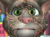 Jouer à Talking tom skin surgery