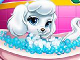 Jouer à Princess pet grooming