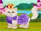Jouer à Persian cat princess spa salon