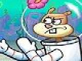 Jouer à Sandy cheeks memory