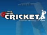 Jouer à Online cricket