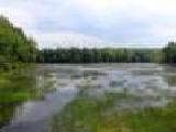 Jouer à Promised land state park jigsaw