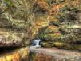 Jouer à Pewits nest jigsaw