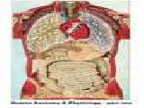 Jouer à Human anatomy physiology part one