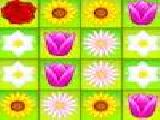 Jouer à Flower power match