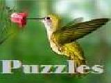 Jouer à Puzzles with hummingbirds