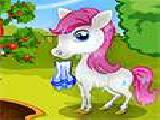 Jouer à Pretty pony day care