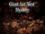 Jouer à Giant ant nest mystery